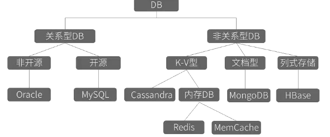 数据库类型